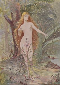 De geboorte van de vrouw door French School